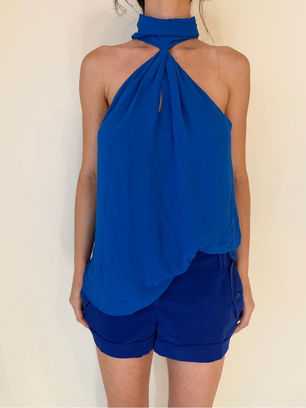 Naked Zebra Royal Blue Halter Neck Top